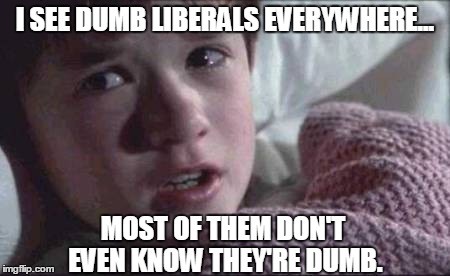 Everywhere!!! | I SEE DUMB LIBERALS EVERYWHERE... MOST OF THEM DON'T EVEN KNOW THEY'RE DUMB. | image tagged in memes,i see dead people | made w/ Imgflip meme maker