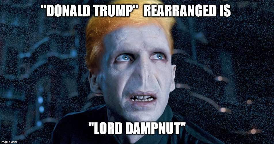 IT ALL MAKES SENSE NOW! | "DONALD TRUMP"  REARRANGED IS; "LORD DAMPNUT" | image tagged in lord dampnut,harry potter,donald trump | made w/ Imgflip meme maker