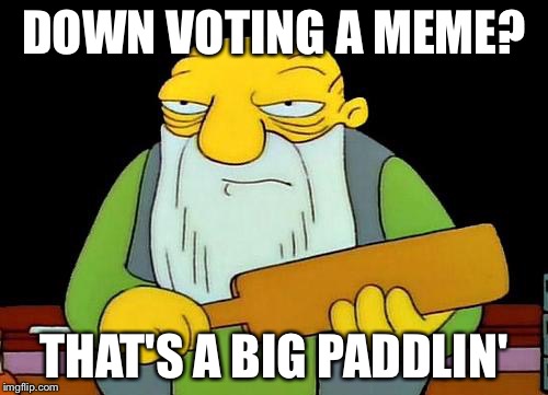 That's a paddlin' | DOWN VOTING A MEME? THAT'S A BIG PADDLIN' | image tagged in memes,that's a paddlin' | made w/ Imgflip meme maker