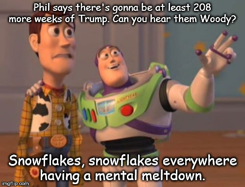 Woody and Buzz discuss the weather | Phil says there's gonna be at least 208 more weeks of Trump. Can you hear them Woody? Snowflakes, snowflakes everywhere having a mental meltdown. | image tagged in memes,x x everywhere,snowflakes,donald trump | made w/ Imgflip meme maker