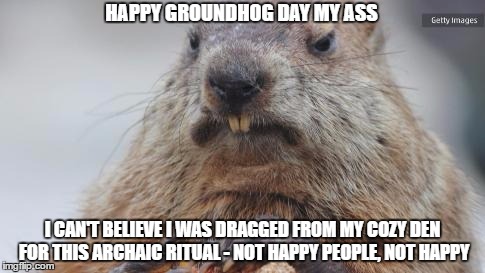 HAPPY GROUNDHOG DAY MY ASS; I CAN'T BELIEVE I WAS DRAGGED FROM MY COZY DEN FOR THIS ARCHAIC RITUAL - NOT HAPPY PEOPLE, NOT HAPPY | image tagged in angry groundhog | made w/ Imgflip meme maker