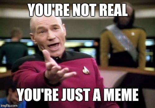 Picard Wtf Meme | YOU'RE NOT REAL YOU'RE JUST A MEME | image tagged in memes,picard wtf | made w/ Imgflip meme maker