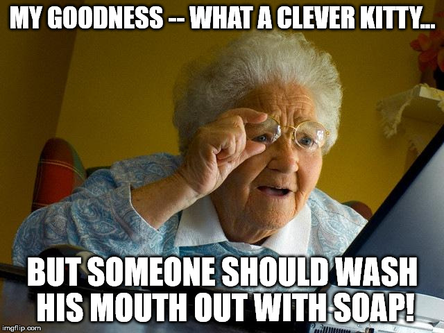 Grandma Finds Grumpy Cat | MY GOODNESS -- WHAT A CLEVER KITTY... BUT SOMEONE SHOULD WASH HIS MOUTH OUT WITH SOAP! | image tagged in memes,grandma finds the internet,grumpy cat | made w/ Imgflip meme maker