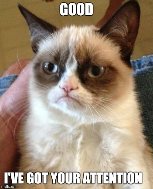 Grumpy Cat Meme | GOOD; I'VE GOT YOUR ATTENTION | image tagged in memes,grumpy cat | made w/ Imgflip meme maker