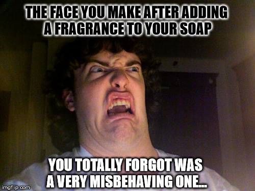 Oh No Meme | THE FACE YOU MAKE AFTER ADDING A FRAGRANCE TO YOUR SOAP; YOU TOTALLY FORGOT WAS A VERY MISBEHAVING ONE... | image tagged in memes,oh no | made w/ Imgflip meme maker