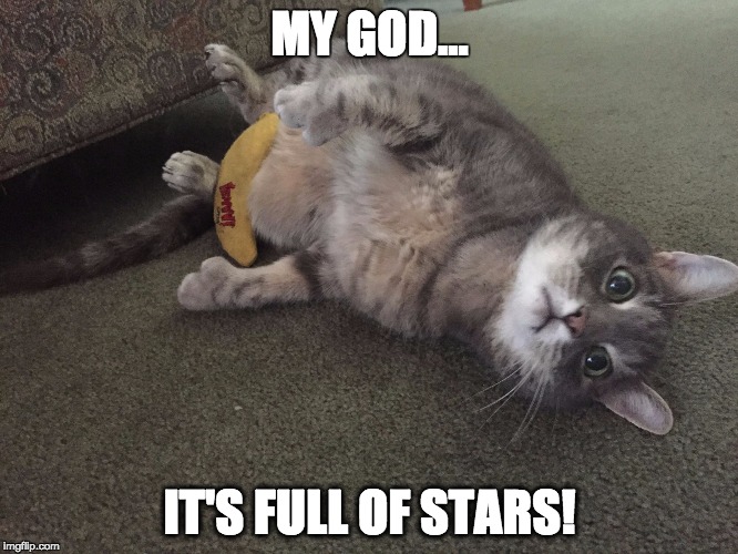 MY GOD... IT'S FULL OF STARS! | image tagged in catnip banana | made w/ Imgflip meme maker