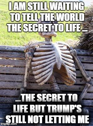 Waiting Skeleton Meme | I AM STILL WAITING TO TELL THE WORLD THE SECRET TO LIFE ... ...THE SECRET TO LIFE BUT TRUMP'S STILL NOT LETTING ME | image tagged in memes,waiting skeleton | made w/ Imgflip meme maker
