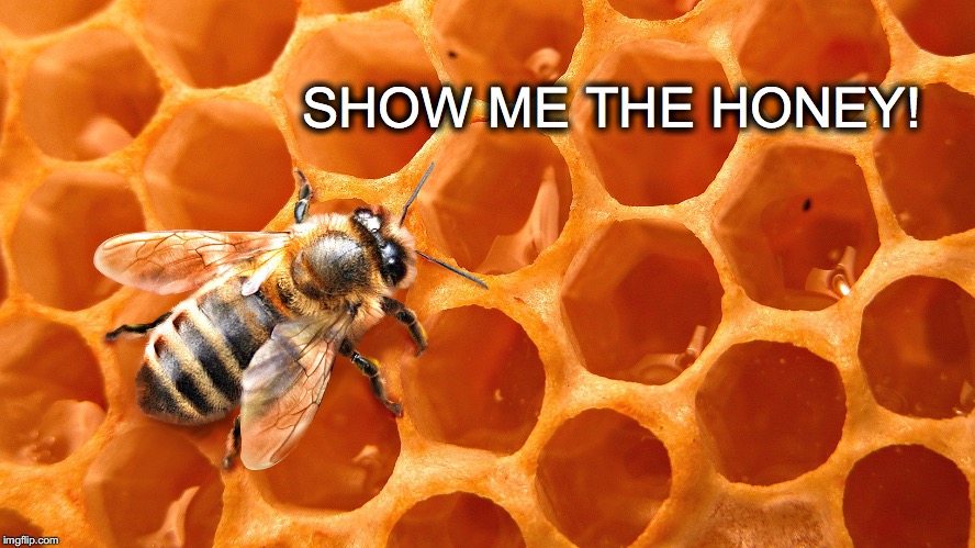 Do it.  | SHOW ME THE HONEY! | image tagged in janey mack meme,flirty meme,bee,honey comb,show me the honey,cute | made w/ Imgflip meme maker