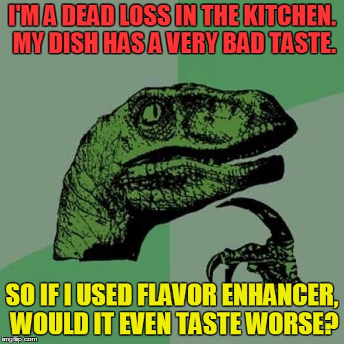 Confession Philosoraptor | I'M A DEAD LOSS IN THE KITCHEN. MY DISH HAS A VERY BAD TASTE. SO IF I USED FLAVOR ENHANCER, WOULD IT EVEN TASTE WORSE? | image tagged in memes,philosoraptor,gifs,funny,confession,kitchen skills | made w/ Imgflip meme maker