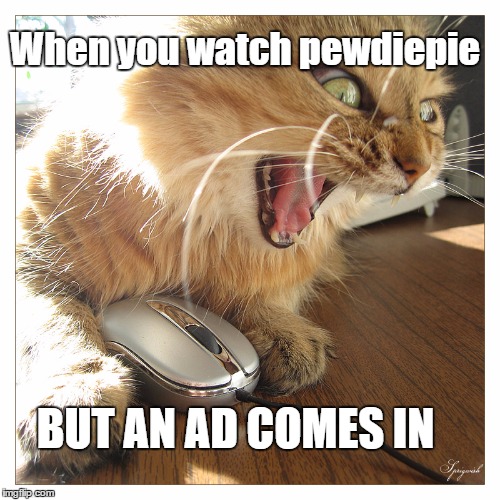 When you watch pewdiepie; BUT AN AD COMES IN | image tagged in mad | made w/ Imgflip meme maker