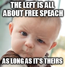 Skeptical Baby Meme | THE LEFT IS ALL ABOUT FREE SPEACH; AS LONG AS IT'S THEIRS | image tagged in memes,skeptical baby | made w/ Imgflip meme maker