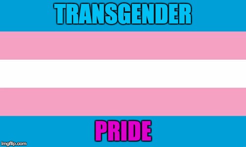 ^_^ | TRANSGENDER; PRIDE | image tagged in transgender flag,transgender,myrianwaffleev,atheist,liberal,bathroom | made w/ Imgflip meme maker