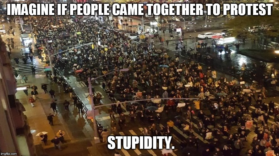 Chicago protests | IMAGINE IF PEOPLE CAME TOGETHER TO PROTEST; STUPIDITY. | image tagged in chicago protests,protest stupidity,riots | made w/ Imgflip meme maker