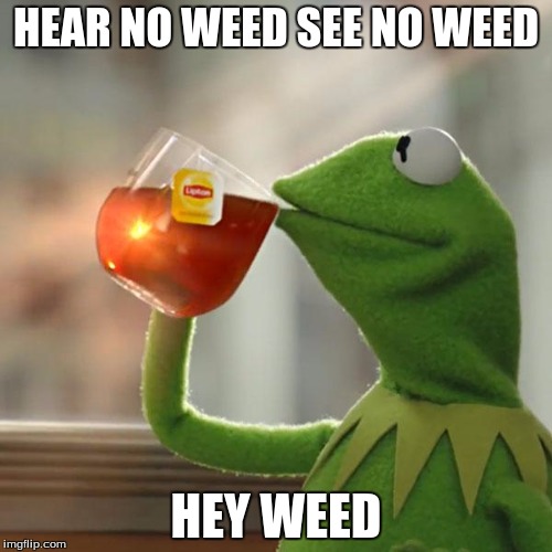 But That's None Of My Business | HEAR NO WEED SEE NO WEED; HEY WEED | image tagged in memes,but thats none of my business,kermit the frog | made w/ Imgflip meme maker