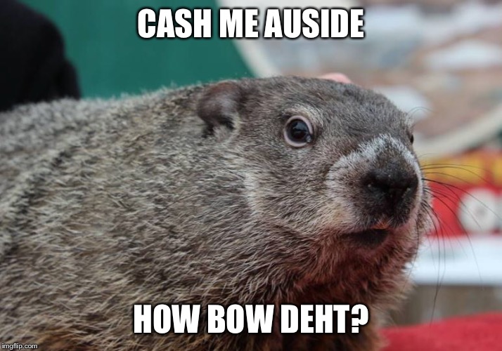 Cash me outside | CASH ME AUSIDE; HOW BOW DEHT? | image tagged in groundhog day | made w/ Imgflip meme maker
