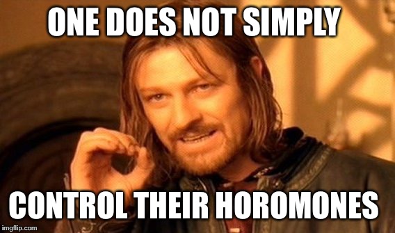One Does Not Simply Meme | ONE DOES NOT SIMPLY CONTROL THEIR HOROMONES | image tagged in memes,one does not simply | made w/ Imgflip meme maker