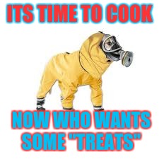 ITS TIME TO COOK; NOW WHO WANTS SOME ''TREATS'' | image tagged in breaking bad dog | made w/ Imgflip meme maker