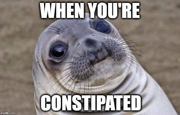 Awkward Moment Sealion Meme | WHEN YOU'RE; CONSTIPATED | image tagged in memes,awkward moment sealion | made w/ Imgflip meme maker