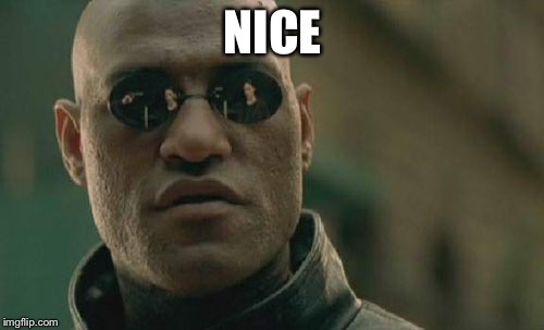 Matrix Morpheus Meme | NICE | image tagged in memes,matrix morpheus | made w/ Imgflip meme maker