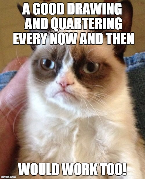 Grumpy Cat Meme | A GOOD DRAWING AND QUARTERING EVERY NOW AND THEN WOULD WORK TOO! | image tagged in memes,grumpy cat | made w/ Imgflip meme maker