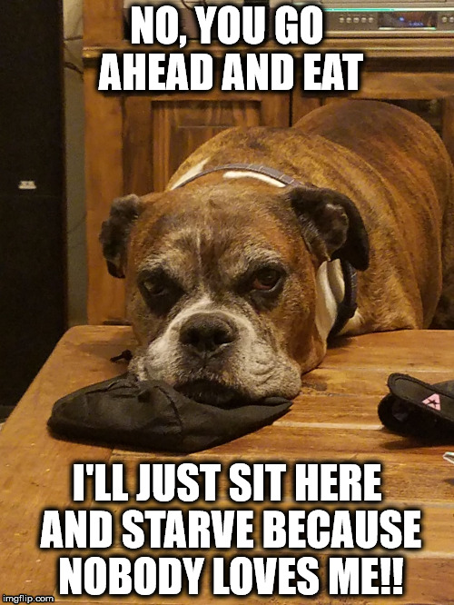 NO, YOU GO AHEAD AND EAT; I'LL JUST SIT HERE AND STARVE BECAUSE NOBODY LOVES ME!! | image tagged in jarhead | made w/ Imgflip meme maker