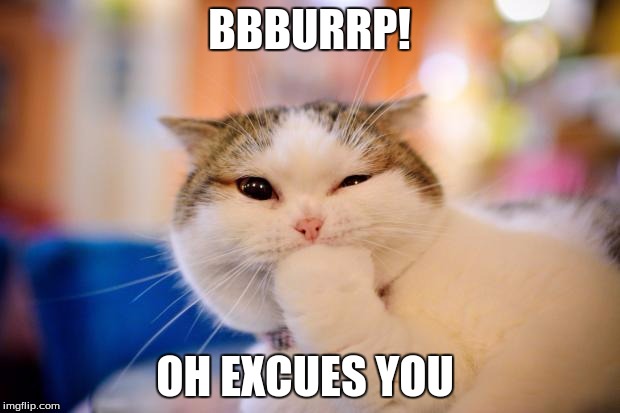 thinking cat | BBBURRP! OH EXCUES YOU | image tagged in thinking cat | made w/ Imgflip meme maker
