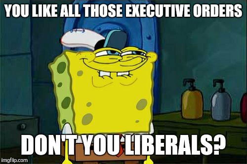 Don't You Squidward Meme | YOU LIKE ALL THOSE EXECUTIVE ORDERS; DON'T YOU LIBERALS? | image tagged in memes,dont you squidward | made w/ Imgflip meme maker