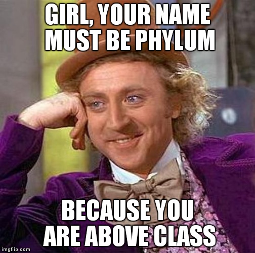 Creepy Condescending Wonka | GIRL, YOUR NAME MUST BE PHYLUM; BECAUSE YOU ARE ABOVE CLASS | image tagged in memes,creepy condescending wonka | made w/ Imgflip meme maker