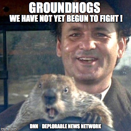 GROUNDHOGS; WE HAVE NOT YET BEGUN TO FIGHT ! DNN    DEPLORABLE NEWS NETWORK | image tagged in ghogs | made w/ Imgflip meme maker