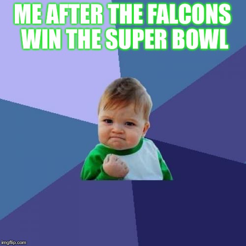 Success Kid Meme | ME AFTER THE FALCONS WIN THE SUPER BOWL | image tagged in memes,success kid | made w/ Imgflip meme maker