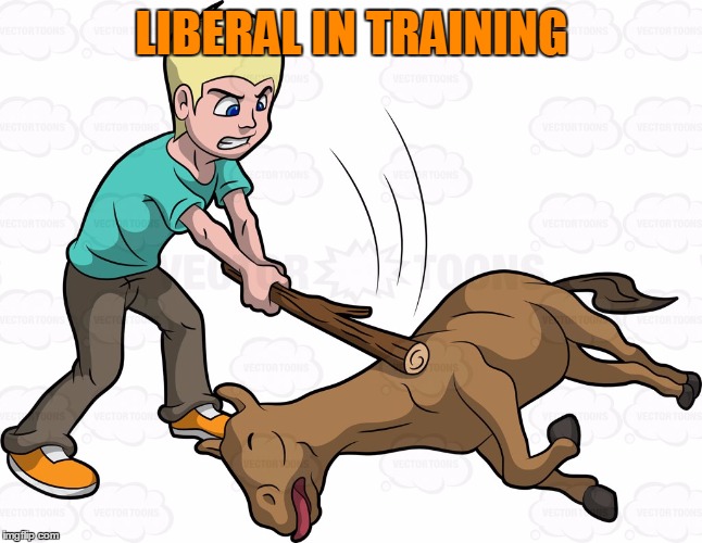 LIBERAL IN TRAINING | made w/ Imgflip meme maker