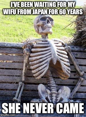 Waiting Skeleton | I'VE BEEN WAITING FOR MY WIFU FROM JAPAN FOR 60 YEARS; SHE NEVER CAME | image tagged in memes,waiting skeleton | made w/ Imgflip meme maker