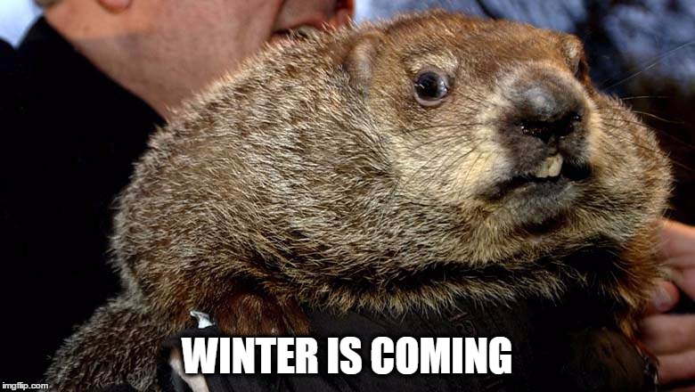 WINTER IS COMING | image tagged in phil face | made w/ Imgflip meme maker