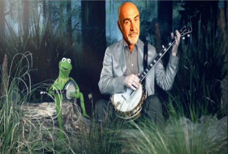 Kermit VS Sean Banjo War Blank Meme Template