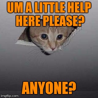 Cat Stuck In Ceiling  | UM A LITTLE HELP HERE PLEASE? ANYONE? | image tagged in memes,ceiling cat | made w/ Imgflip meme maker