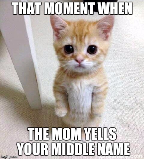 Cute Cat | THAT MOMENT WHEN; THE MOM YELLS YOUR MIDDLE NAME | image tagged in memes,cute cat | made w/ Imgflip meme maker