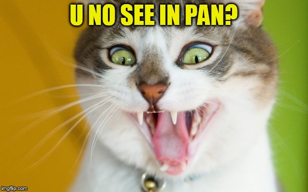 U NO SEE IN PAN? | made w/ Imgflip meme maker