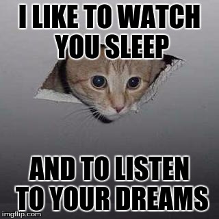 Jeez, That Cat Is Creepy! Seriously |  I LIKE TO WATCH YOU SLEEP; AND TO LISTEN TO YOUR DREAMS | image tagged in memes,ceiling cat | made w/ Imgflip meme maker