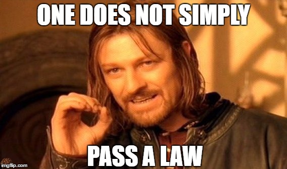 One Does Not Simply Meme | ONE DOES NOT SIMPLY; PASS A LAW | image tagged in memes,one does not simply,scumbag | made w/ Imgflip meme maker
