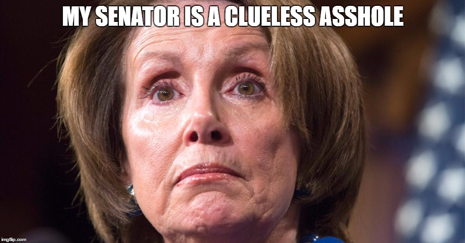 MY SENATOR IS A CLUELESS ASSHOLE | image tagged in nancy | made w/ Imgflip meme maker