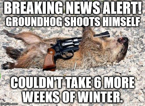 BREAKING NEWS ALERT! GROUNDHOG SHOOTS HIMSELF; COULDN'T TAKE 6 MORE WEEKS OF WINTER. | image tagged in happy groundhog day | made w/ Imgflip meme maker