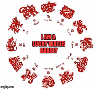 I AM A LUCKY WATER RABBIT | made w/ Imgflip meme maker