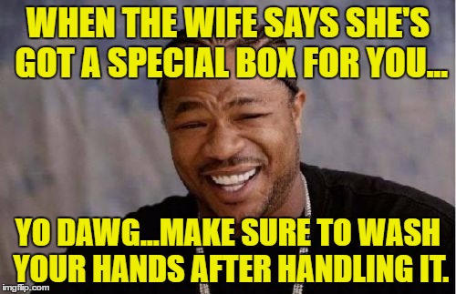 Yo Dawg Heard You Meme | WHEN THE WIFE SAYS SHE'S GOT A SPECIAL BOX FOR YOU... YO DAWG...MAKE SURE TO WASH YOUR HANDS AFTER HANDLING IT. | image tagged in memes,yo dawg heard you | made w/ Imgflip meme maker