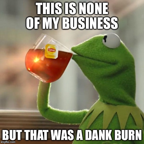 But That's None Of My Business Meme | THIS IS NONE OF MY BUSINESS BUT THAT WAS A DANK BURN | image tagged in memes,but thats none of my business,kermit the frog | made w/ Imgflip meme maker