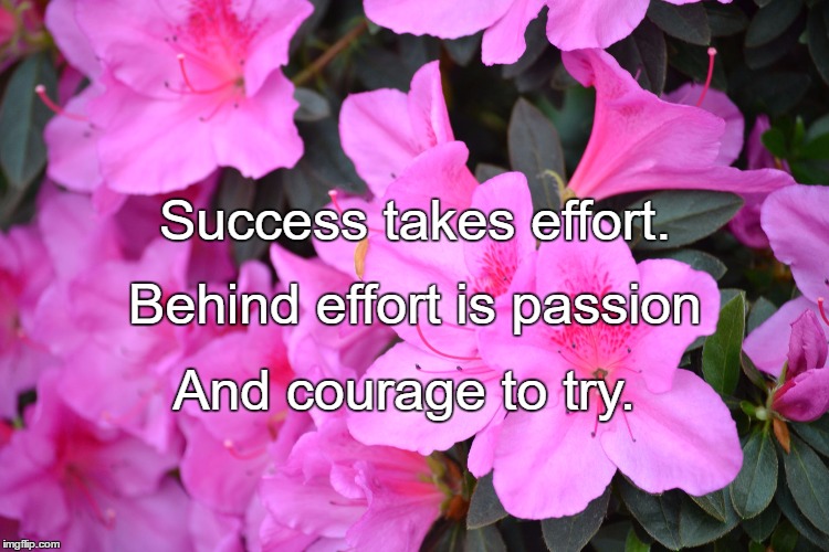 flowers | Success takes effort. Behind effort is passion; And courage to try. | image tagged in flowers | made w/ Imgflip meme maker