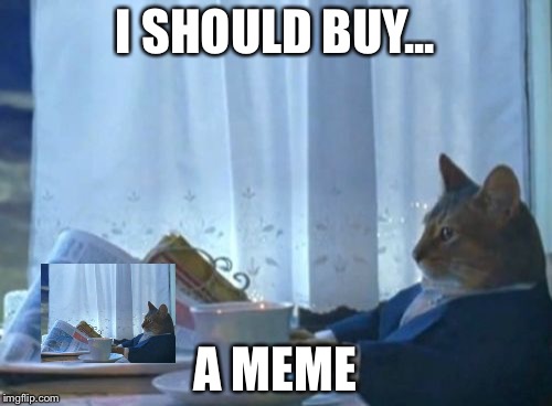 I Should Buy A Boat Cat | I SHOULD BUY... A MEME | image tagged in memes,i should buy a boat cat | made w/ Imgflip meme maker