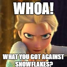 WHOA! WHAT YOU GOT AGAINST SNOWFLAKES? | image tagged in angry else | made w/ Imgflip meme maker