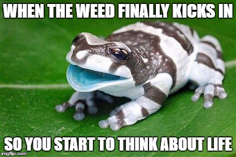 When the weed finally kicks in |  WHEN THE WEED FINALLY KICKS IN; SO YOU START TO THINK ABOUT LIFE | image tagged in weed,smoke,smoke weed,white widow | made w/ Imgflip meme maker
