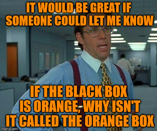 blackbox | IT WOULD BE GREAT IF SOMEONE COULD LET ME KNOW; IF THE BLACK BOX IS ORANGE, WHY ISN'T IT CALLED THE ORANGE BOX | image tagged in memes,that would be great,airplane | made w/ Imgflip meme maker