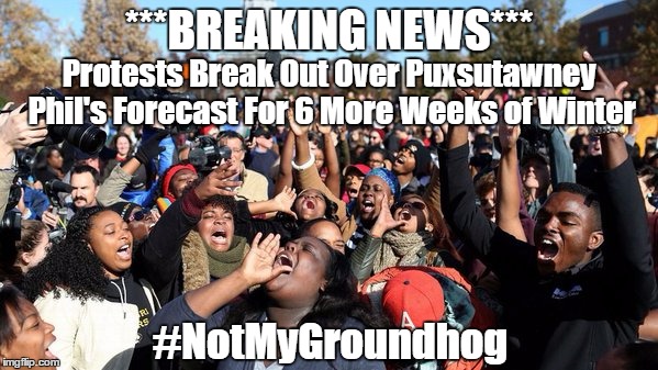 Winter...Snowflakes...Coincidence? | ***BREAKING NEWS***; Protests Break Out Over Puxsutawney Phil's Forecast For 6 More Weeks of Winter; #NotMyGroundhog | image tagged in memes,protesters,riots,groundhog,snowflakes | made w/ Imgflip meme maker